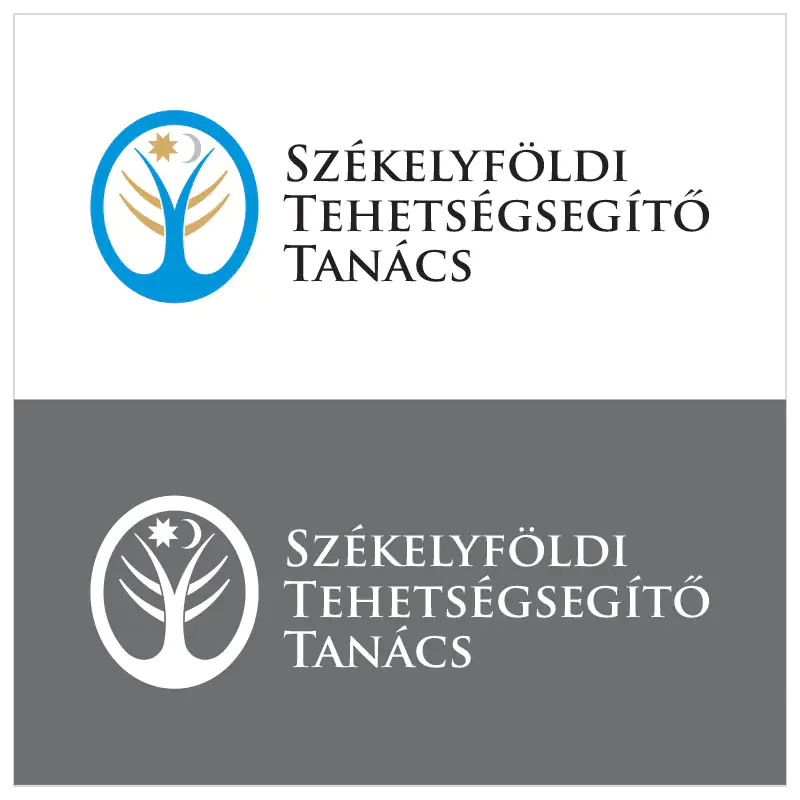 Identitate vizuală instituțională creată pentru Consiliul pentru Susținerea Talentelor din Secuime.